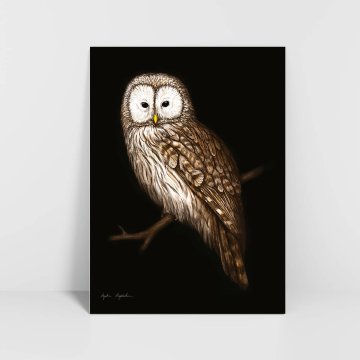 Grafika uralske sove temno ozadje 30x40