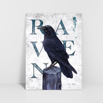 Raven 30x40 grafika