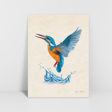Grafika Kingfisher 3 30x40