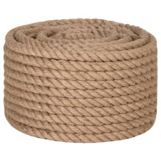 Vidaxl Vrv iz jute 100 m dolžina 16 mm debelina