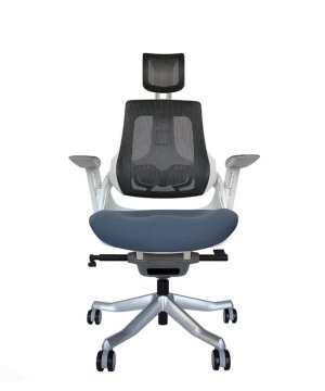 Ergovision Ergonomski pisarniški stol iTrek | Barva: Belo-siva