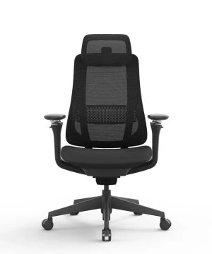 Ergovision Ergonomski pisarniški stol Valaris Pro | Barva: Črna