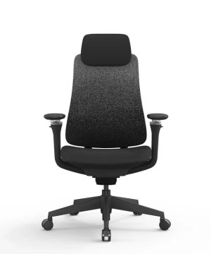 Ergovision Ergonomski pisarniški stol Valaris Pro | Barva: Črno-bela