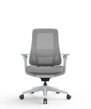 Ergovision Ergonomski pisarniški stol Valaris Pro W | Barva: Siva