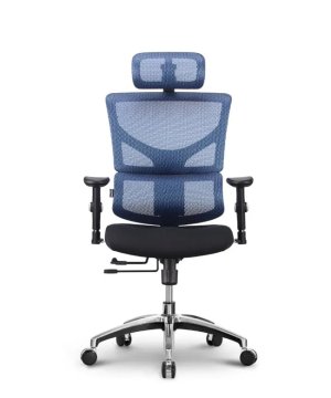 Ergovision Ergonomski pisarniški stol Smart Basic | Barva: Modra