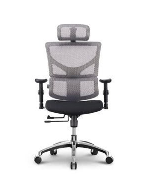 Ergovision Ergonomski pisarniški stol Smart Basic | Barva: Siva