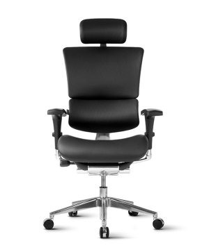 Ergovision Ergonomski pisarniški stol Smart Deluxe | Barva: Črna
