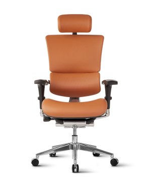 Ergovision Ergonomski pisarniški stol Smart Deluxe | Barva: Oranžna