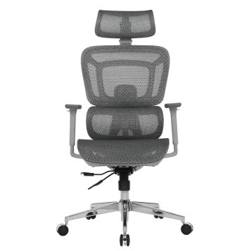 Ergovision Ergonomski pisarniški stol APOLLO PLUS | Barva: Siva