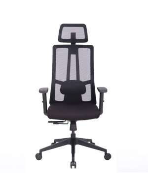 Ergovision Ergonomski pisarniški stol Eiffel Lite