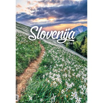 PIGO Koledar stenski slovenija 2027 eg