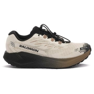 Salomon Čevlji Salomon Aero Blaze 4 GRVL GTX 454032