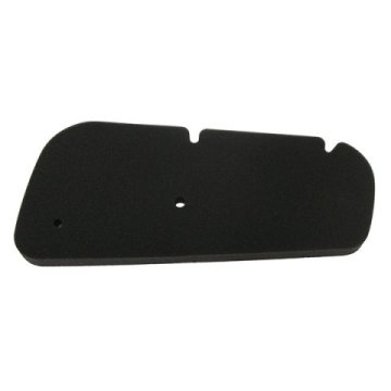 Zračni filter MIW Honda Fes Pantheon 125 150 98-02 kakovost