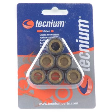 Valjčki Tecnium variator 20x12 mm 14g 6 kosov za skuter (4184)