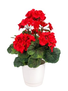 Umetna pelargonija v lončku Umetno cvetje Pelargonije 35 cm