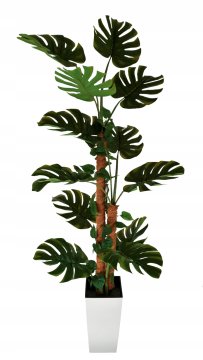 Umetno veliko drevo monstera visoke kakovosti 170 cm