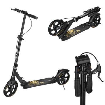 Nils Extreme LETALSKI SKUTER HM800 GOLD