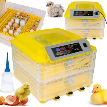 Inkubator do wylęgu jaj Eggly112