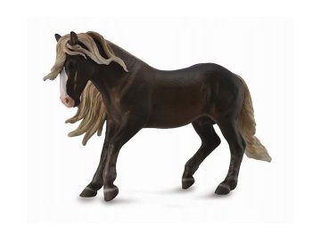 COLLECTA Zbirka. Žrebec Črnega gozda