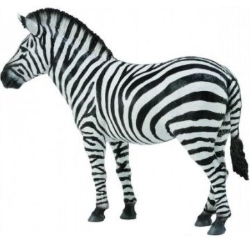 COLLECTA Zbirka. Navadna zebra