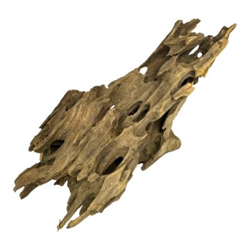 BIO BioRoot Dragon Wood M / 20-40cm / Zmajeva korenina za terarije in akvarije