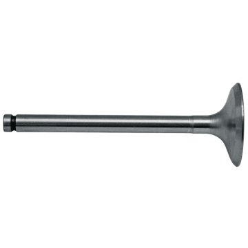 Sesalni ventil 38015619 GRANIT 739027M1 31431641 31431315