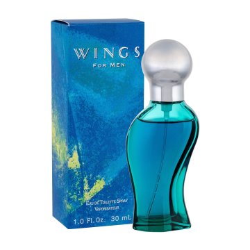 Giorgio Beverly Hill Wings toaletna voda za moške