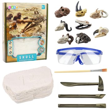 slomart LEAN TOYS Arheološki set za izkopavanje lobanj in kosti z orodji