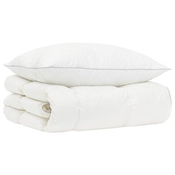 Vidaxl 90% Gosji puh set odej FULDA 2 kos 135 x 200 cm Zima 300 GSM