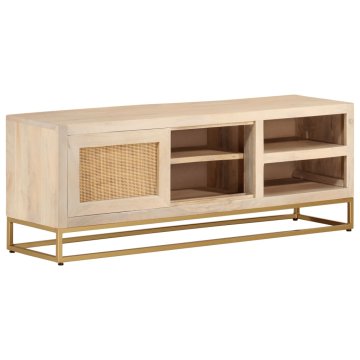 Vidaxl TV omarica 110x30x40 cm trden mangov les in železo