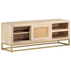 Vidaxl TV omarica 110x30x40 cm trden mangov les in železo