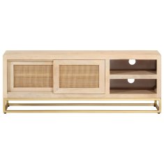 Vidaxl TV omarica 110x30x40 cm trden mangov les in železo