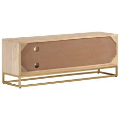 Vidaxl TV omarica 110x30x40 cm trden mangov les in železo