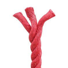 Vidaxl Vrv iz jute 16 mm Rdeča 100% Tossa jute