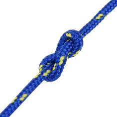 Vidaxl Večnamenska uporabna vrv 5 mm 100 m Modra PP