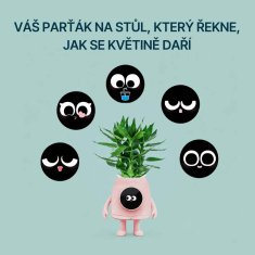 BOT Pametni AI lonček za rože Tuya AIF1, modra