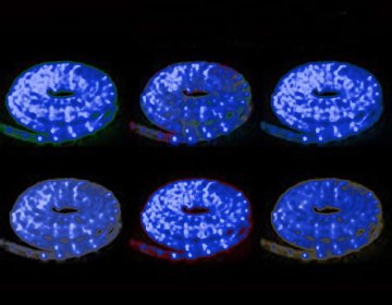 Multistore.si LED svetlobna cev, modre, 6 m