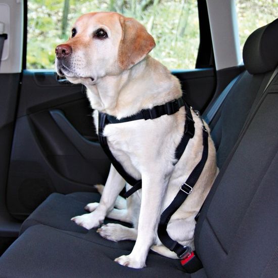 Trixie varnostni pas za v avto, L - odprta embalaža