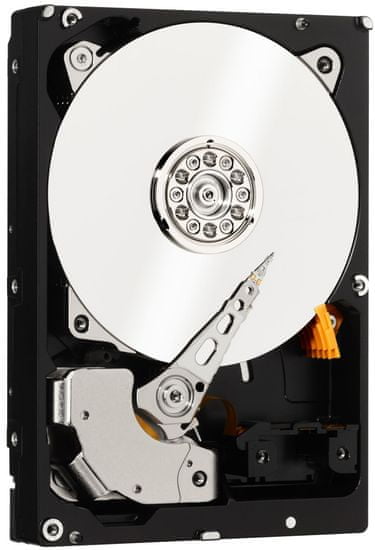 Western Digital RAID Edition 4 500GB (WD5003ABYZ)