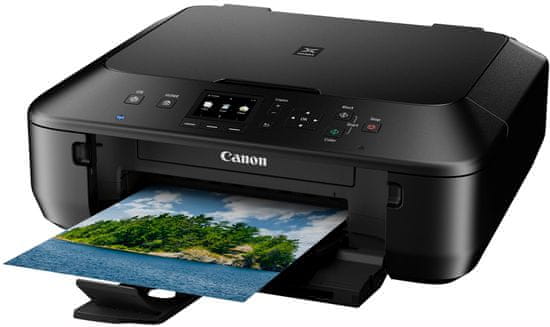 Canon PIXMA MG5550 (8580B006AA)