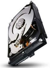 Seagate Trdi disk Constellation CS 3 TB, 7200 rpm, 64 MB, SATAIII (ST3000NC002)
