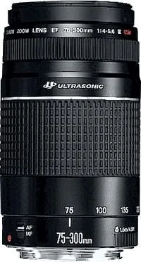Canon Objektiv EF 75-300 mm 4.0-5.6 USM