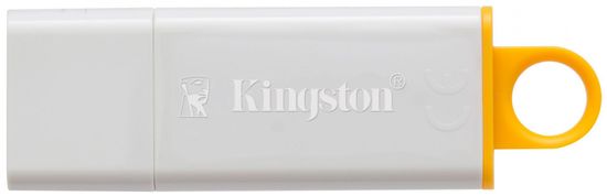 Kingston USb ključ DataTraveler G4 8 GB (DTIG4/8GB)
