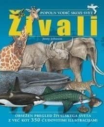 Boy poklik kamari porno videolar