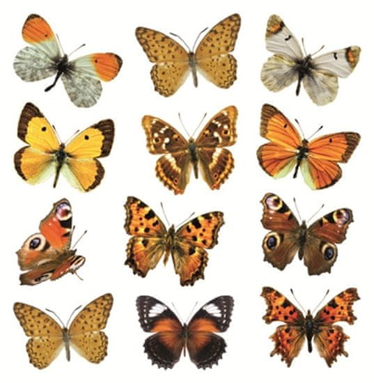Crearreda stenska dekorativna nalepka, barviti metulji (54453)