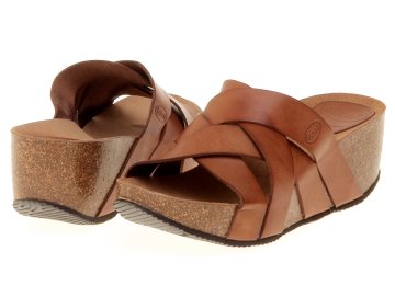 Scholl Erula
