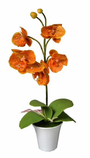 EverGreen umetna orhideja, oranžna, 35 cm