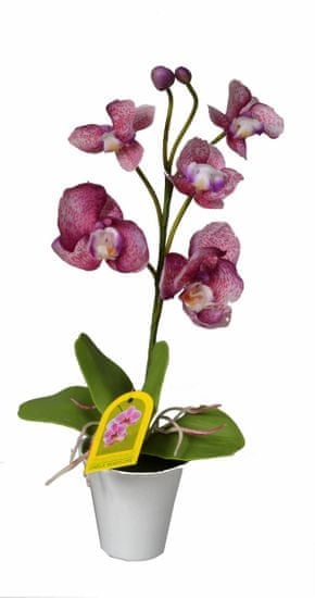 EverGreen umetna orhideja, vijolična, 35 cm