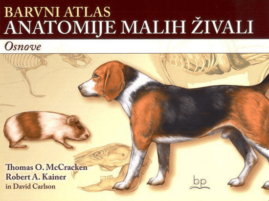 Barvni atlas anatomije malih živali : osnove