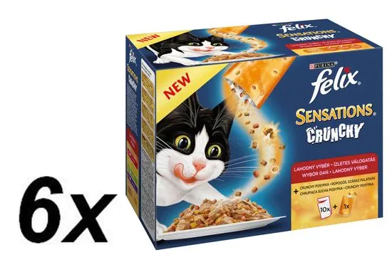 Felix mokra hrana žele za mačke Sensations,6 x (10 x 100 g + 40 g hrustljavi)
